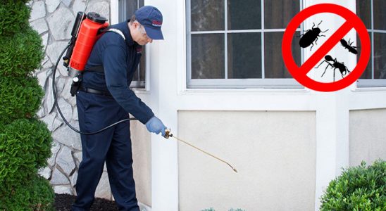 Gümüşhacıköy Fare İlaçlama böcek ilaçlama ve haşere kontrolü — ilaclama-tr.com